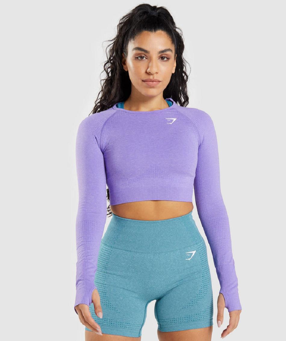 Corp Tops Gymshark Vital Seamless 2.0 Long Sleeve Mujer Moradas Claro | CO 2473KOR